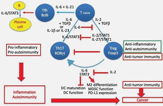 2) a tissue-specific antigen is not always required for localized autoimmune diseases. Instead, hyper-activation of the immune system to the target tissue may be a consequent event that is initiated by local initiators in non-immune target tissue in a manner dependent on genetic