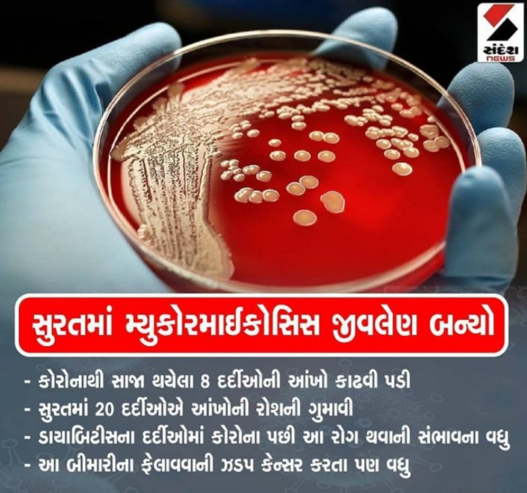 patel_rnk's tweet photo. Sandesh ko mila galat sandesh😂
the news about fungi (mucormycosis) but on their post they show a photo of bacteria (staphylococcus).
#sandesh #mucormycosis #Staphylococcus #microbiology #microbiologist #corona #news @sandeshnews https://t.co/DC9YXs2Imc https://t.co/qcwBfRPOPM