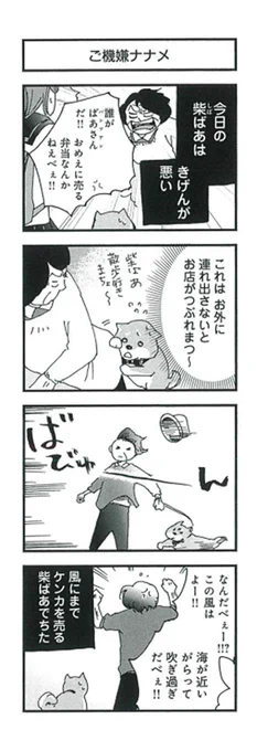 柴ばあと豆柴太の4コマ漫画④「ご機嫌ナナメ」「デイの日」#4コマ #4コマ漫画 #柴犬 #犬 #わんこ #豆柴 #風 