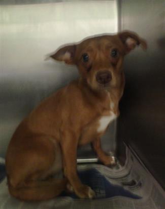 @RealTheBernIsOn/Bernie Sanders on Twitter