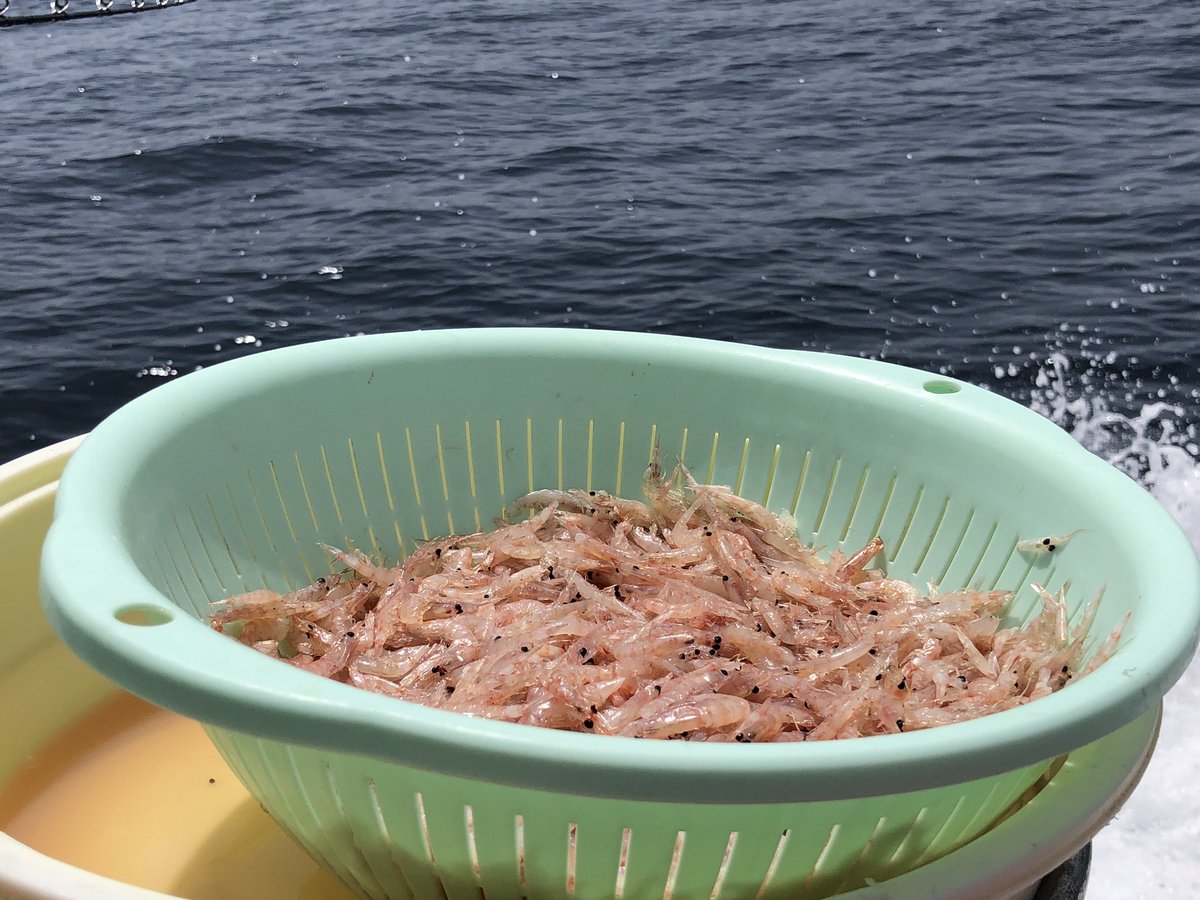 タイ釣り タイ釣り
