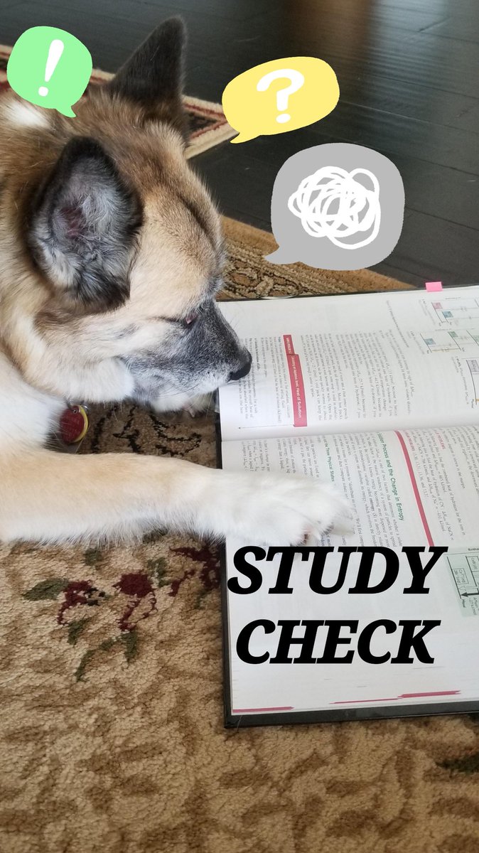 UTeachSA's tweet photo. Study check with Freedom! 

Finals season is ruff, but if you study well and take care of yourself, it'll all be okay! https://t.co/j1OR8mHER9