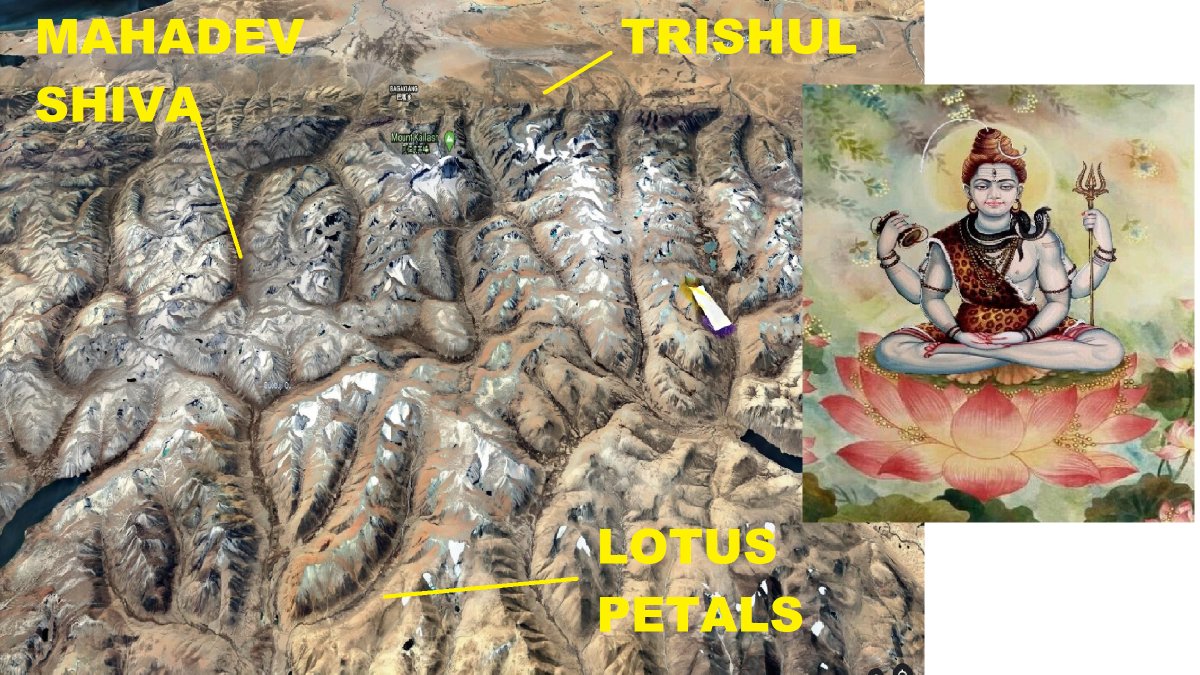 P M Reddy tweet media