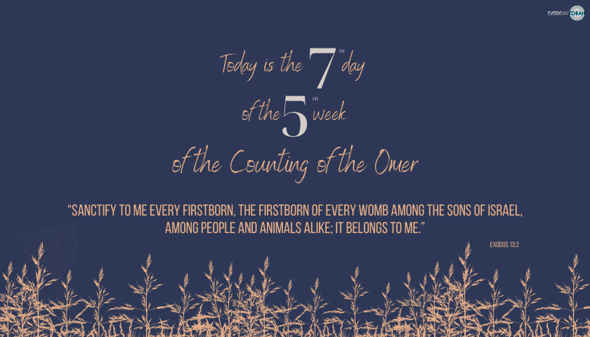 EverydayTorah's tweet photo. Today is the 7th day of the 5th week of the counting of the Omer.

Sanctify to me every firstborn, the firstborn of every womb among the sons of Israel, among people and animals alike; it belongs to me (Ex. 13:2).
.
.
.
#EverydayTorah #Exodus #Omer #Day #Week #Firstborn #Israel https://t.co/79QMRshqaB