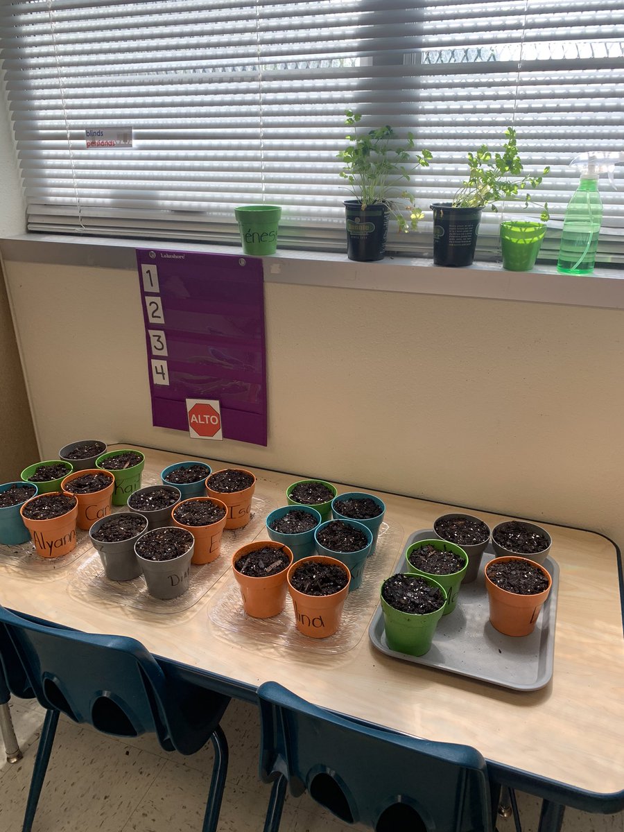 Yvette_HIPPY's tweet image. PreK students in Ms Martinez’s class discussing insects, doing the morning messages, and reviewing letter C. A treat to visit this classroom. @TatumTitans @ICanReadDallas @DrElenaSHill #phonologicalawareness #languagemodeling #kindnesstree #environmentalprint