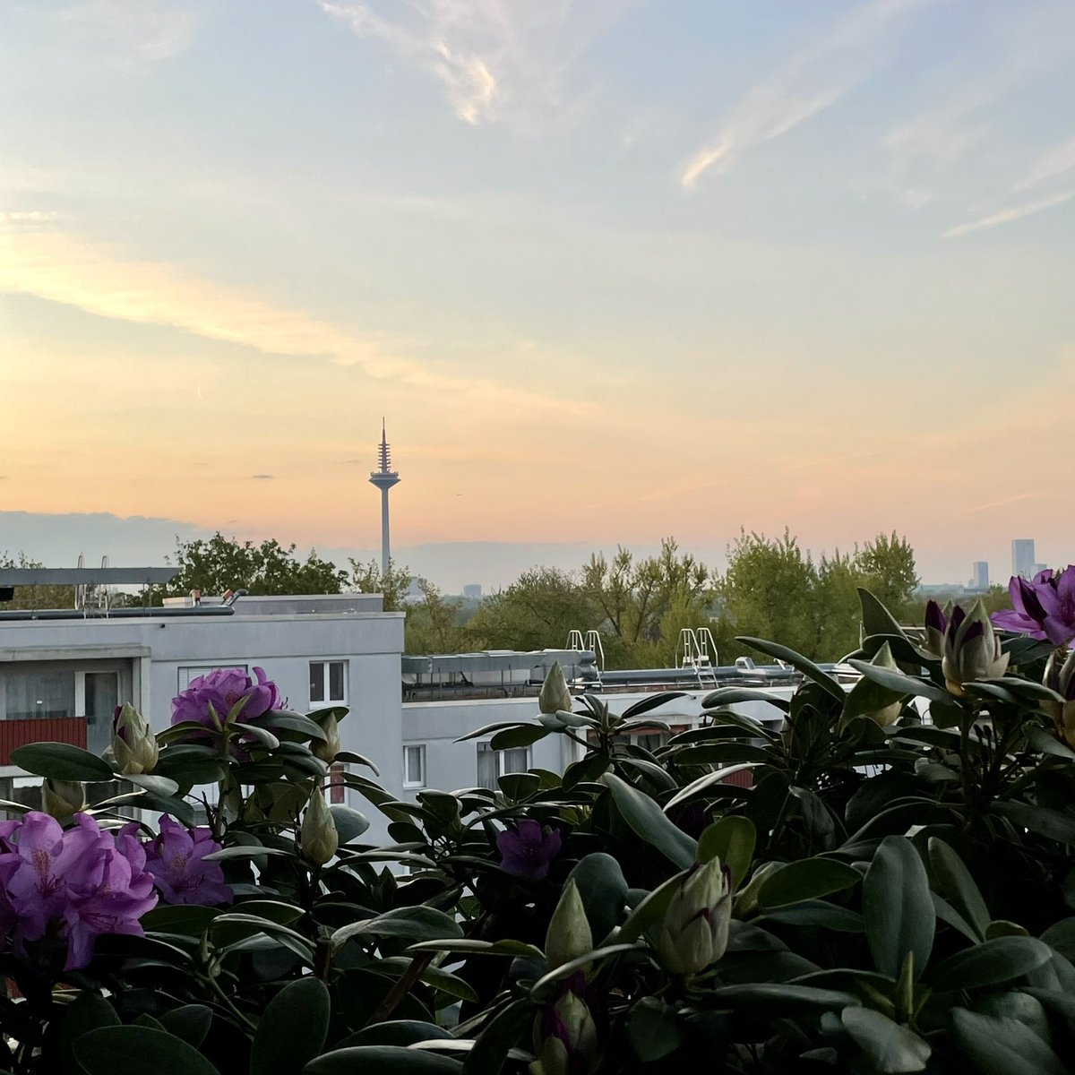 IBNGermany's tweet photo. ‚Darkness into Light‘ - Dawn at 05:49 am in #Frankfurt am Main #Germany 🇩🇪🌞🇮🇪
#DIL2021
#IBNGermany
#DILSunriseAppeal
@PietaHouse ☘️✨ https://t.co/htkX7P12r9