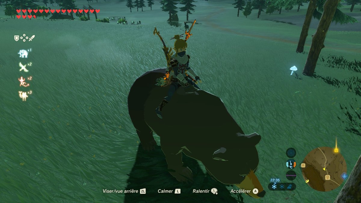 Je vie ma meilleure vie dans Zelda ✨🐻💛