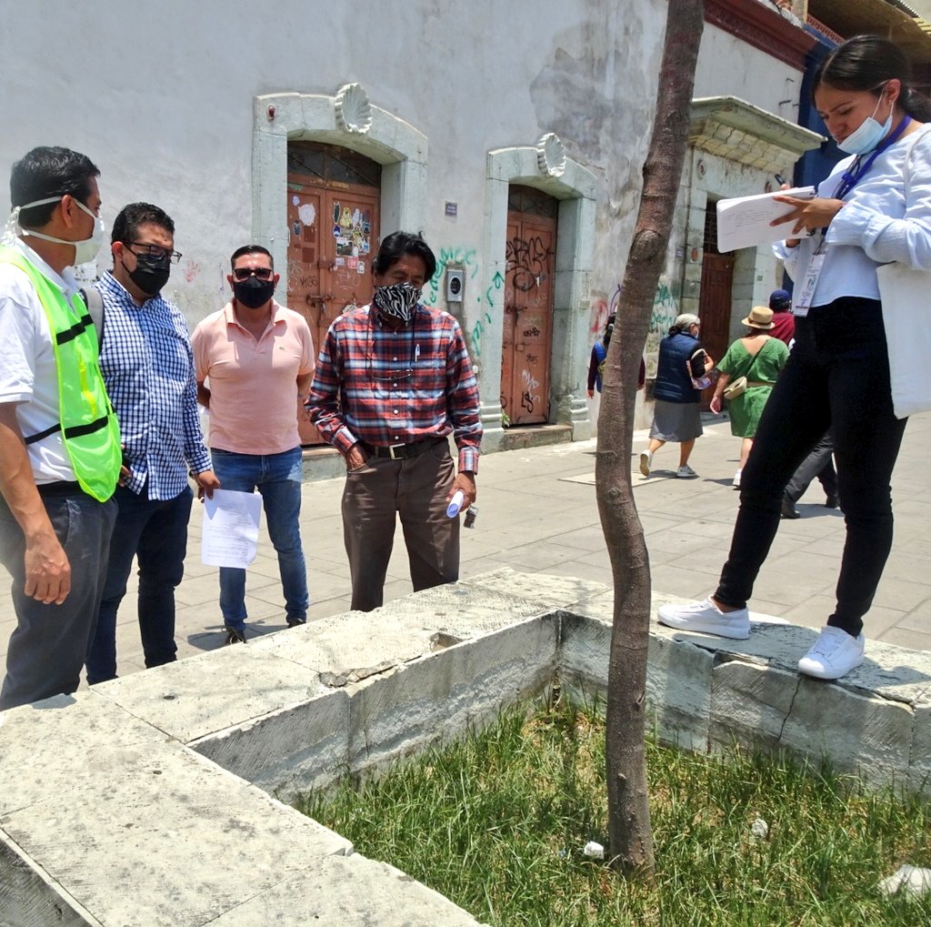 COAOAmbiental's tweet photo. Hoy a iniciativa de @gsvoax, #COAO y #BrigadaAlfa, se retiraron #ÁrbolesSecos para sustituirlos por 🌳🌳 nativos en Av. Independencia.

Actividades en sinergia con @MunicipioOaxaca; agradecemos su disposición por emitir dictámenes, permisos y hacer donación de 🌱🌿.

@urbanosoax https://t.co/Fr5KayWJ7G