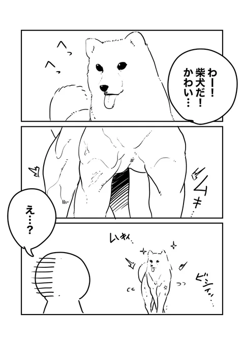 レベル100の柴犬 