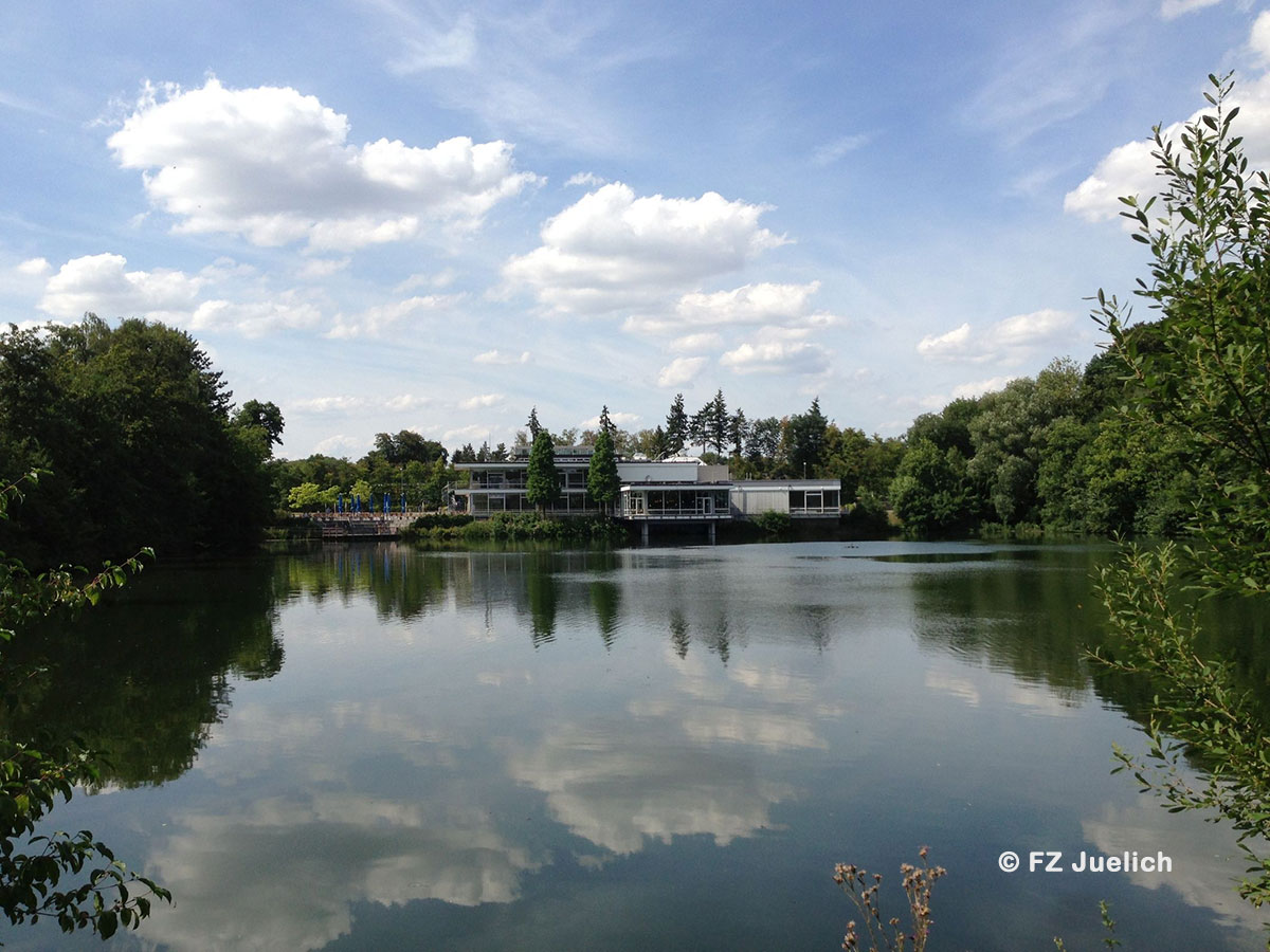 ResearchGermany's tweet photo. Interested in #MaterialsSynthesis and Processing? Look at this #PhD position at @fz_juelich (only in German) 👉https://t.co/9BVwol0V6W #PhDGermany #Physics #MechanicalEngineering #ProcessEngineering #MaterialsScience https://t.co/6ba5giYy5R