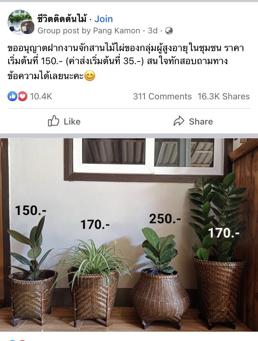 ศรีจัง tweet media