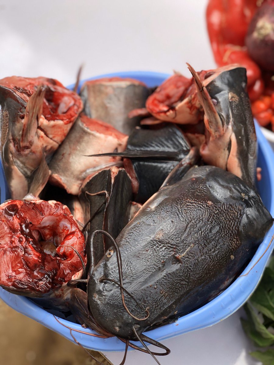 SExquiste's tweet image. Catfish pepper soup available today, ready by 12noon                                       Place an order 08133856207