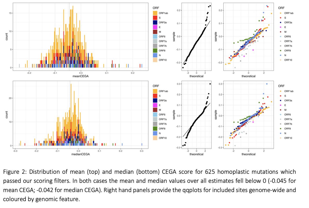 We can estimate an association with  #SARSCoV2 transmissibility for 625 mutations. There is a slight tendency for mutations to be associated to reduced transmissibility overall, in particular C->T ones that are often induced by the host immune system.4/