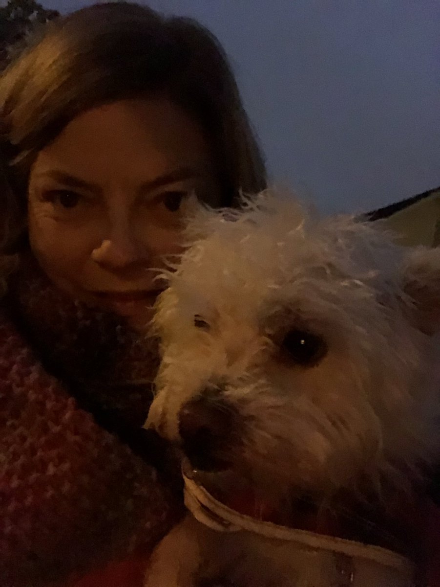 sexton_grace's tweet photo. 🌅🦔 the dog is never going to talk to me again after this #DIL2021 https://t.co/szctoyzIVY