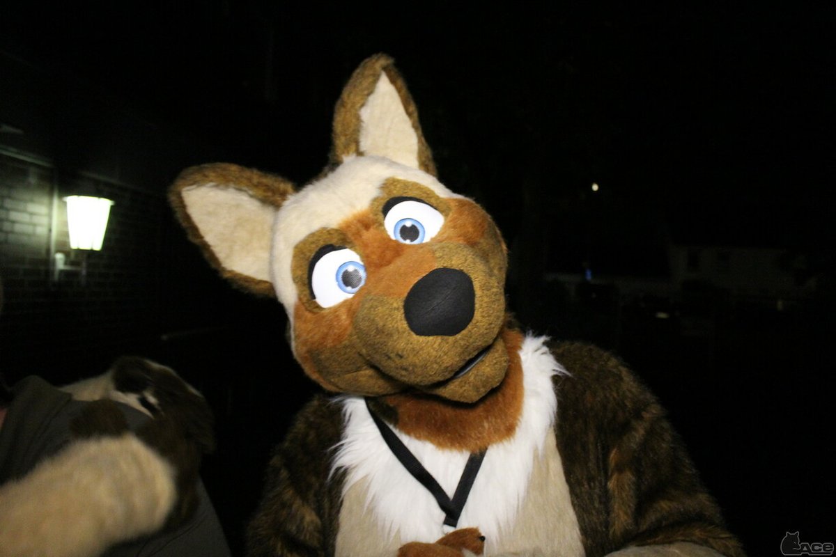 Fursuit Photo of the day