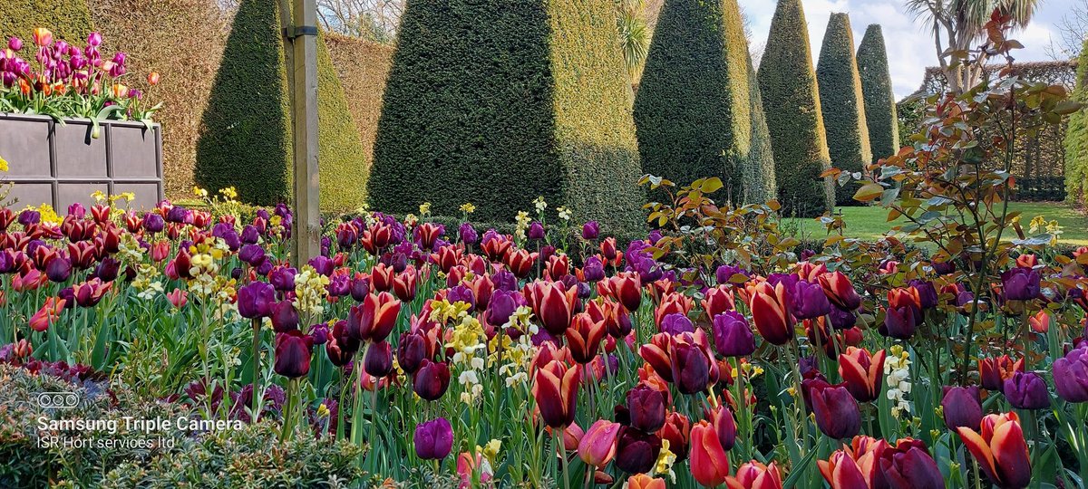 Ian Scott Roofe tweet media