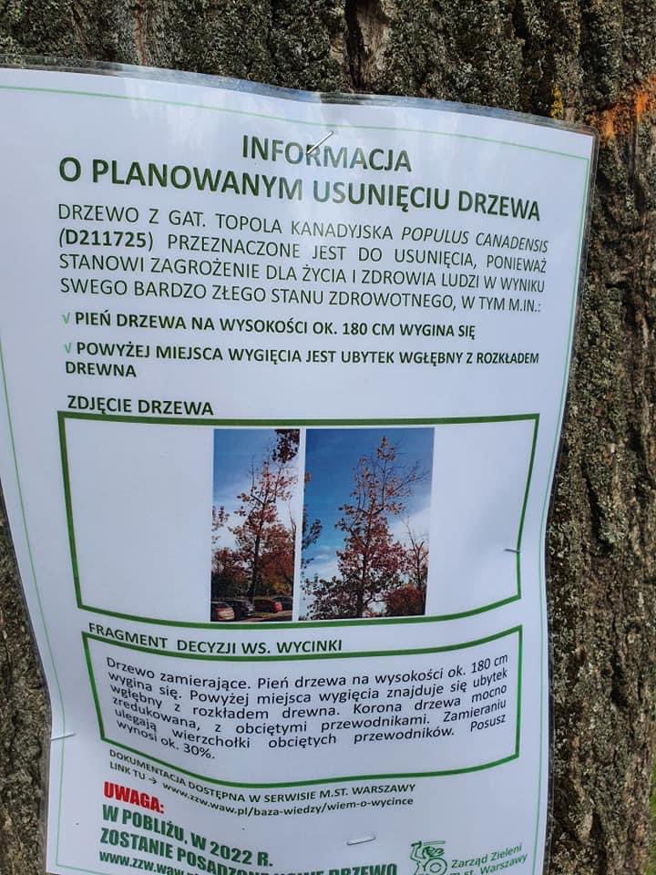MiastoUrsynow's tweet photo. Szykuje się wycinka drzew na parkingu przy #NaUboczu wzdłuż ul. #Stryjeńskich. https://t.co/WFtnoLtQSR