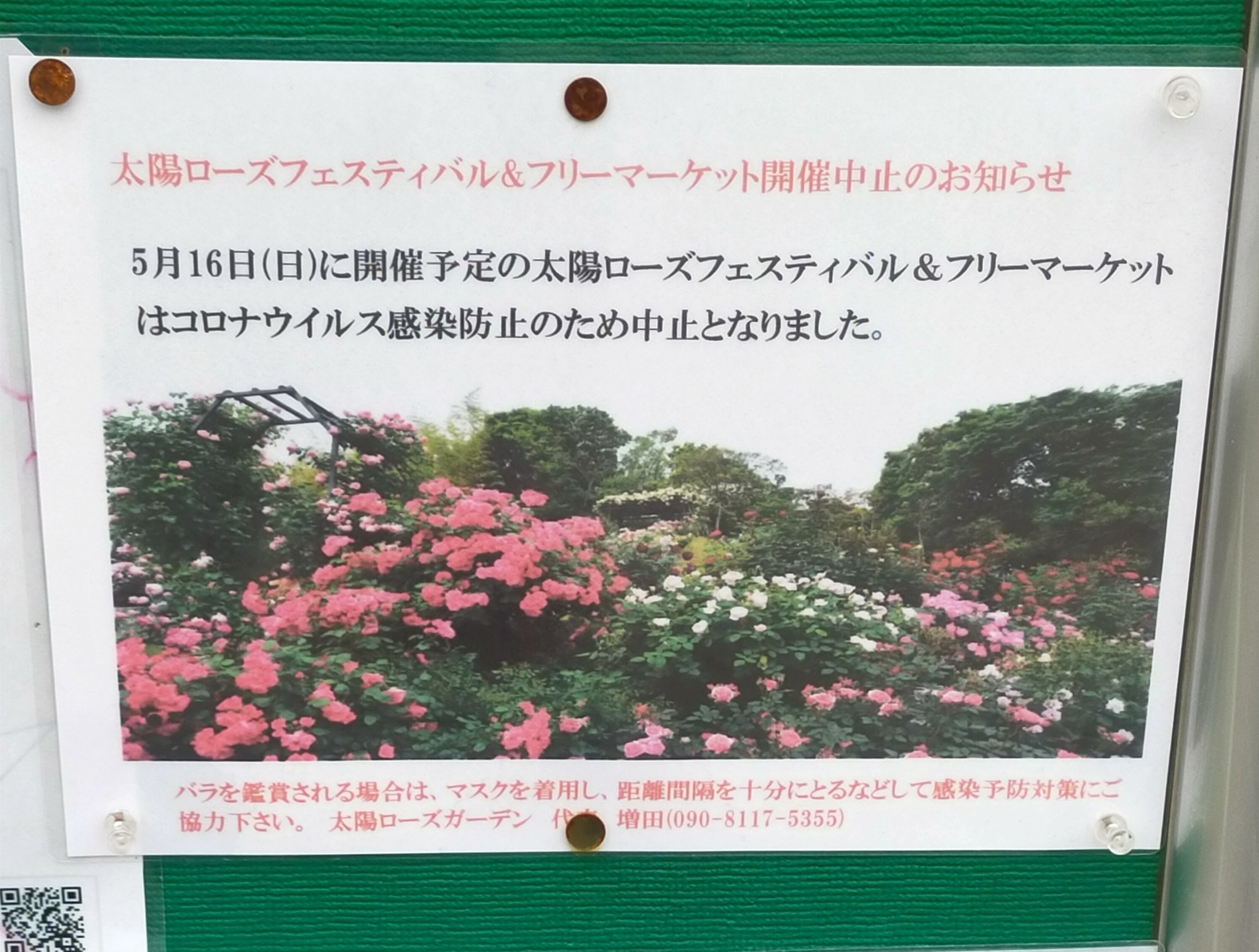 勝手にあざみ野情報局 荏子田の太陽公園 今年もバラが綺麗に咲いておりました しばらく見頃かと思います ちなみに今年もフェスティバルはコロナで中止です あざみ野 T Co Csdduoe6ui Twitter
