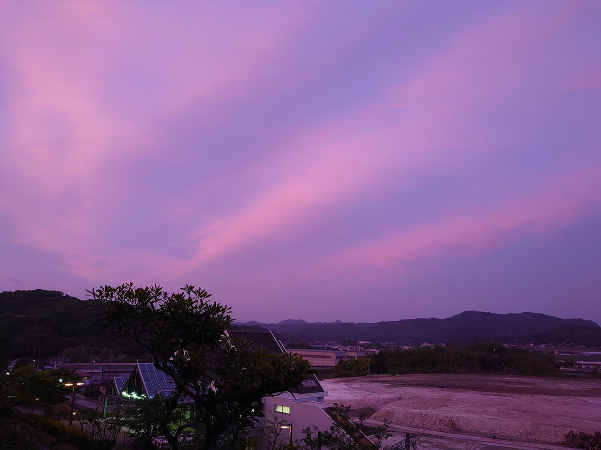 ピンクの夕焼け ピンクの夕焼け