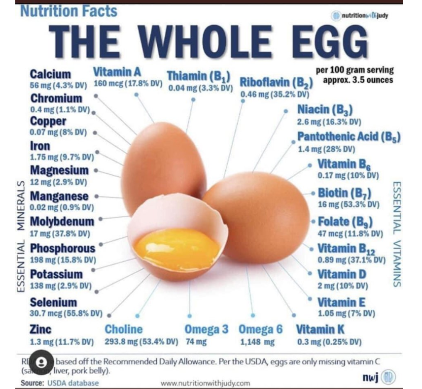 Waarom zijn eieren supergezond?
Zij bevatten veel vitamines en mineralen.
Maar ook 80 verschillende eiwitten, dus een zeer hoge voedingswaarde. Weinig koolhydraten, dus niet dik-makend.
Kortom een compacte, gezonde,voedzame  voedingsbron en héél erg lekker😋.
#eieren #planetproof
