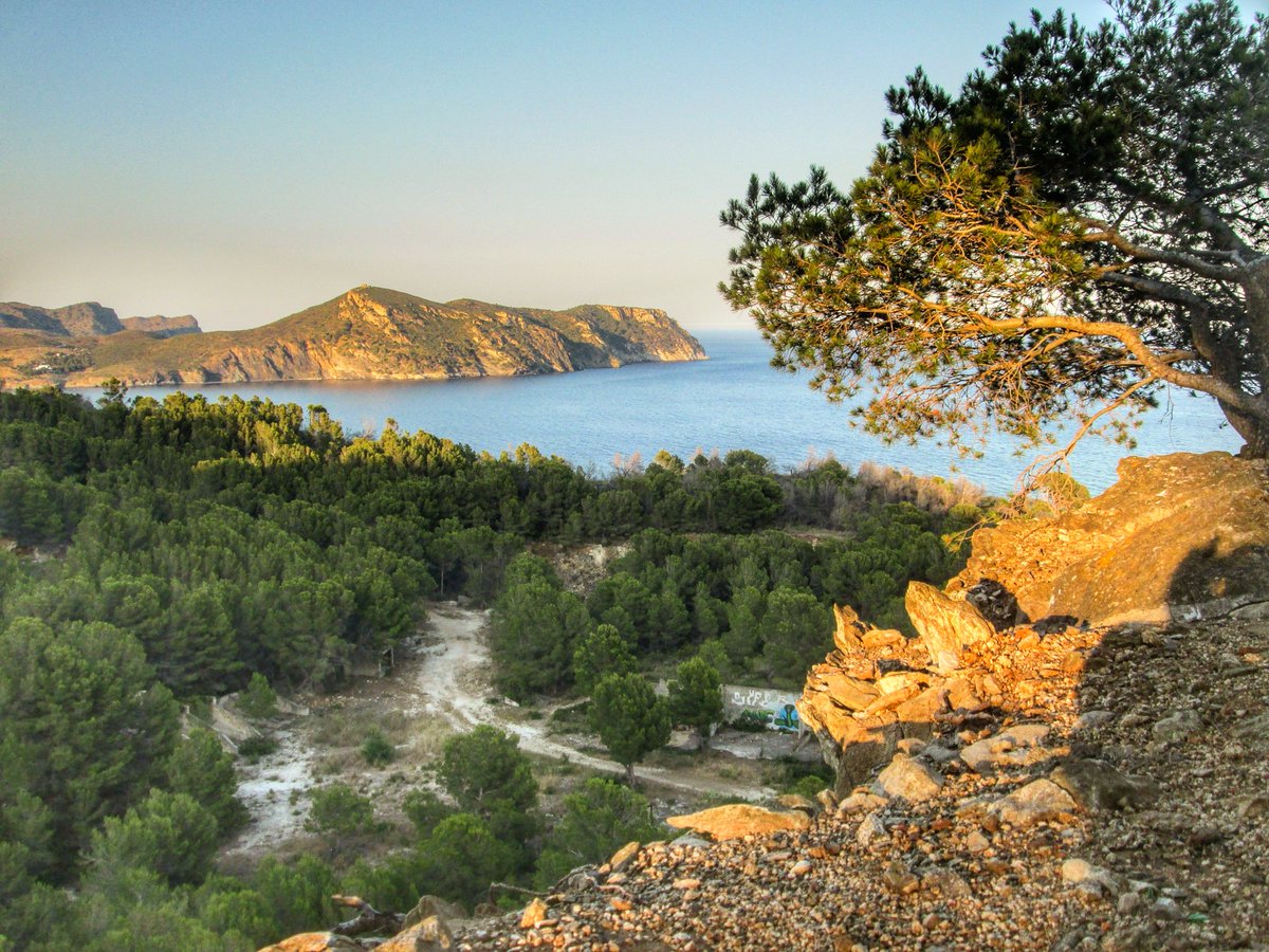 Vous savez déjà qu’on est amoureux du Cap Norfeu 💚 ... et voilà pourquoi on aimerait savoir quelle est votre vue panoramique préférée pour contempler 😍 sa majesté! On vous lit 😊👇

<a href="/costabrava/">Costa Brava Pirineu</a> <a href="/badiaderoses/">Badia de Roses - World Bays</a> <a href="/catexperience/">Catalunya Experience</a> <a href="/AjRoses/">Ajuntament de Roses</a> <a href="/Cami_de_Ronda/">Camí de Ronda</a> <a href="/naturalocal/">Natura Local</a> <a href="/Aempordaturisme/">EMPORDA TURISME</a>