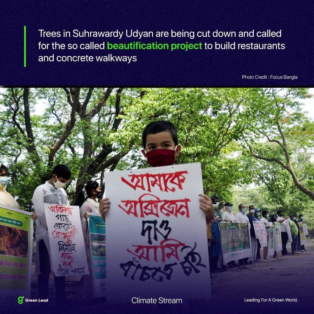 greenleadglobal's tweet photo. #Trees are being #cutdown for so called #beautification in #SurwardyUdyan in #Dhaka #Bangladesh ‼️Does it seem justified to do so to a #HistoricallySignificant and #OxygenSupply place ⁉️
#ClimateCrisis #ClimateStrike  needed https://t.co/SDQ781HuPj