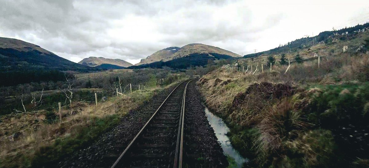 One Big Circle tweet media