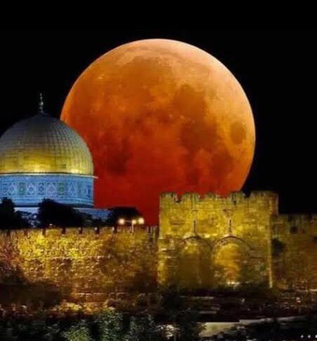 ezer81's tweet photo. “Kadir gecesi bin aydan daha hayırlıdır”
[Kadir sûresi,3]

Bu mübarek gecenin feyzi tüm İslâm alemine,bereketi evlerimize , rahmeti inananların üzerine olsun. 
Dualarımızın kabulü dileğiyle
#KadirGecesi mübarek olsun. https://t.co/owER9xFPDJ
