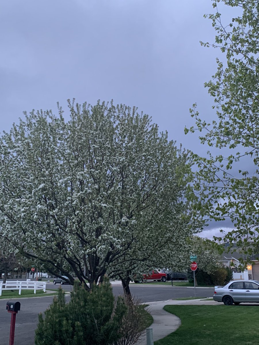 Spring storms are the best! #Thunderstorms #authorlife