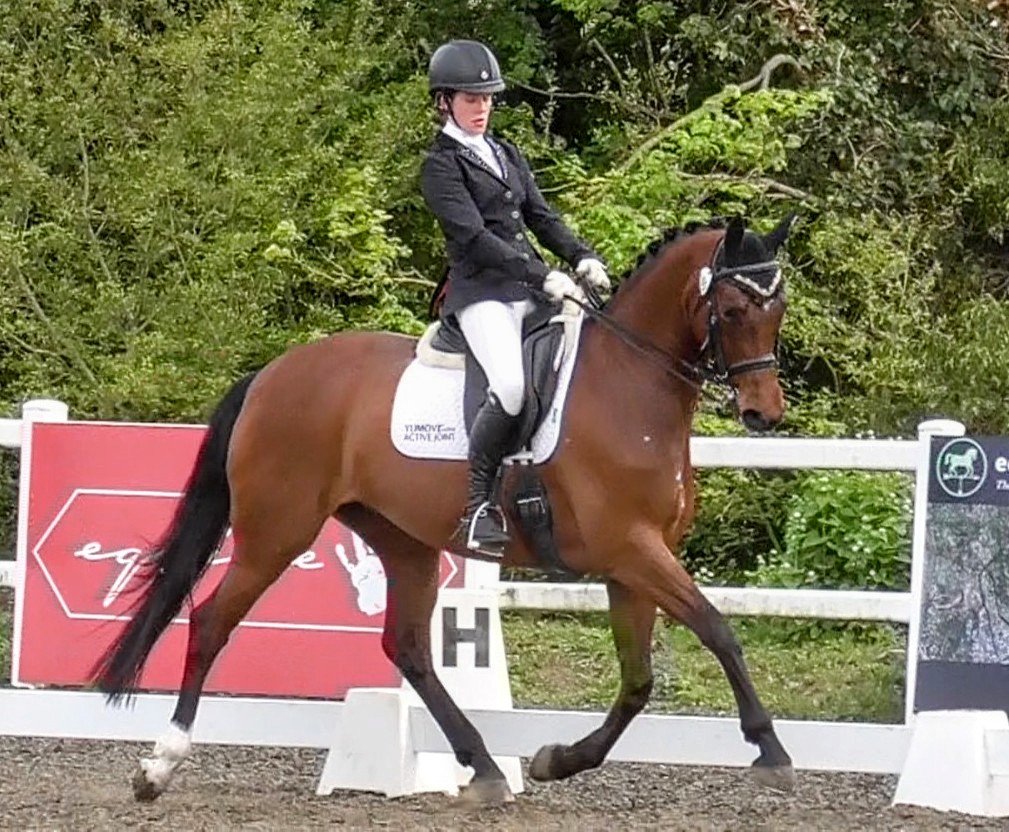 VetGoneEventing's tweet photo. Another from yesterday, just can't believe how this little lady has progressed 😍 #YuMovePlus https://t.co/hHiSy9z5FH