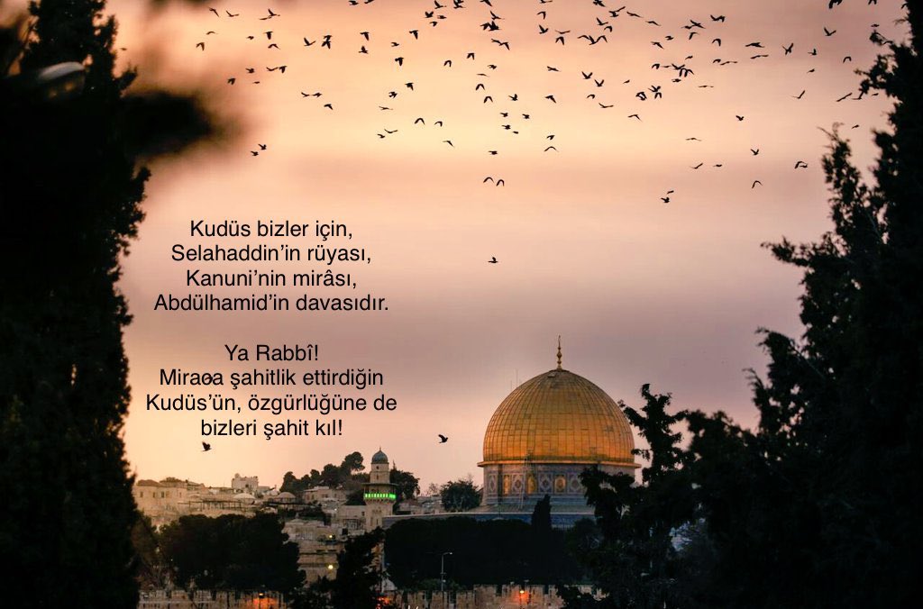 Erining ogziga mushukdan shilliq Erining ogziga mushukdan shilliq