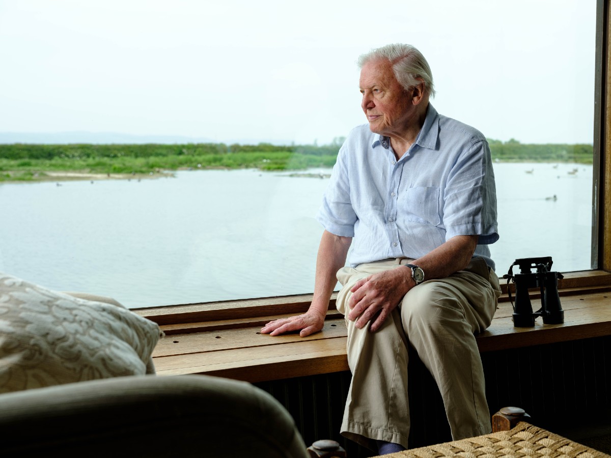WWTworldwide's tweet photo. 95 today! 🎂 Happy birthday to Sir David Attenborough! Thank you for inspiring us every day 🙌

“To restore stability to our planet ... we must restore its biodiversity, the very thing we have removed. It is the only way out of this crisis that we ourselves have created” https://t.co/kOOTaOLsUf