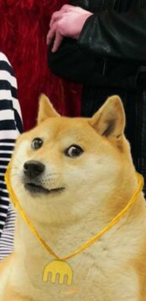 #doge 1$ dolar