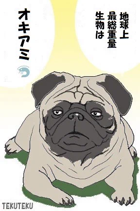 125)('・ω・`)パグワン♡の誰かの名言・ジョーク・豆知識 