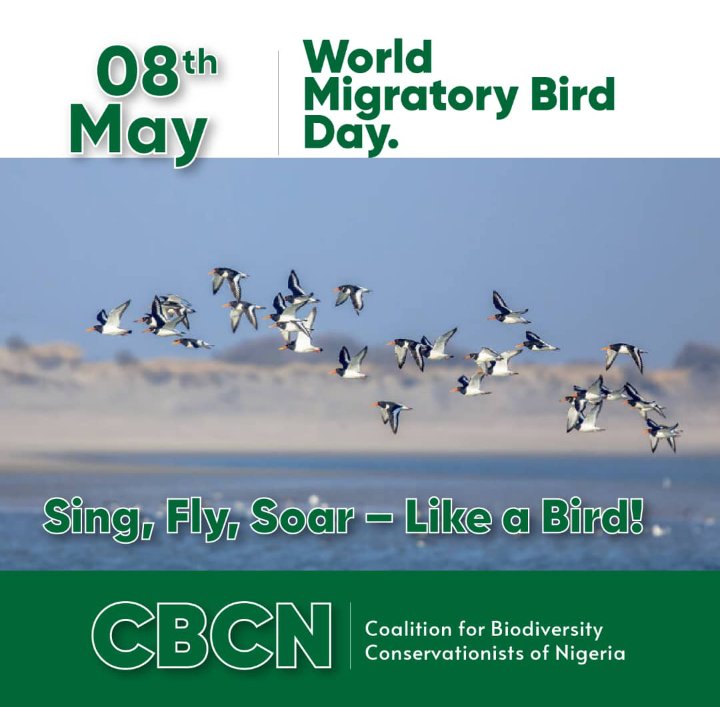#WMBD2021 

Migratory birds connect the world, but they are faced with perilous journeys that threaten their survival. 

Today, we reiterate their importance to this one 🌍  and the need to protect them and their habitats. 

#ConnectWithNature
Sing, Fly, Soar -Like a Bird!🦅🕊️