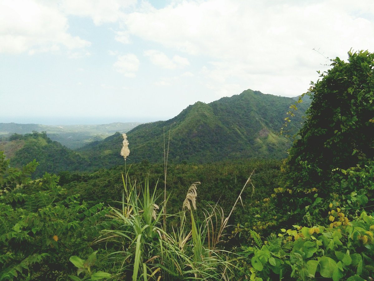 DiyAtbp's tweet photo. Donque Hill, Manticao Misamis Oriental.. https://t.co/A62BqX8iKJ