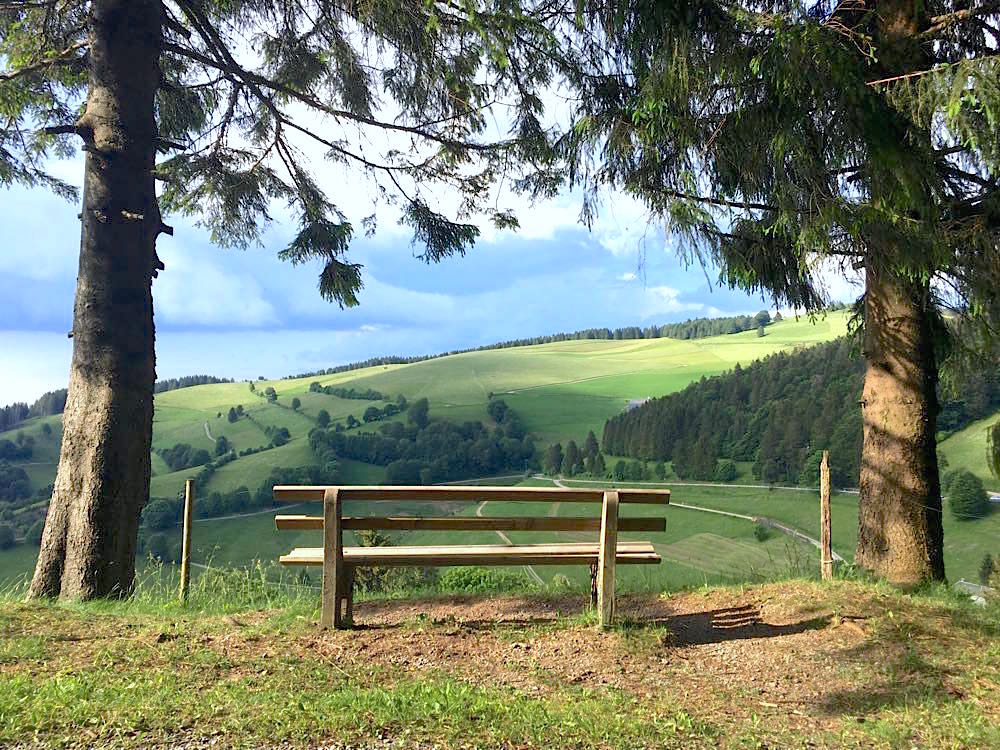 Tipps von 15 Reisebloggern zu den schönsten Ausflugszielen im Schwarzwald für den Sommer, neu im Blog: people-abroad.de/blog/ausflugsz… #schwarzwald