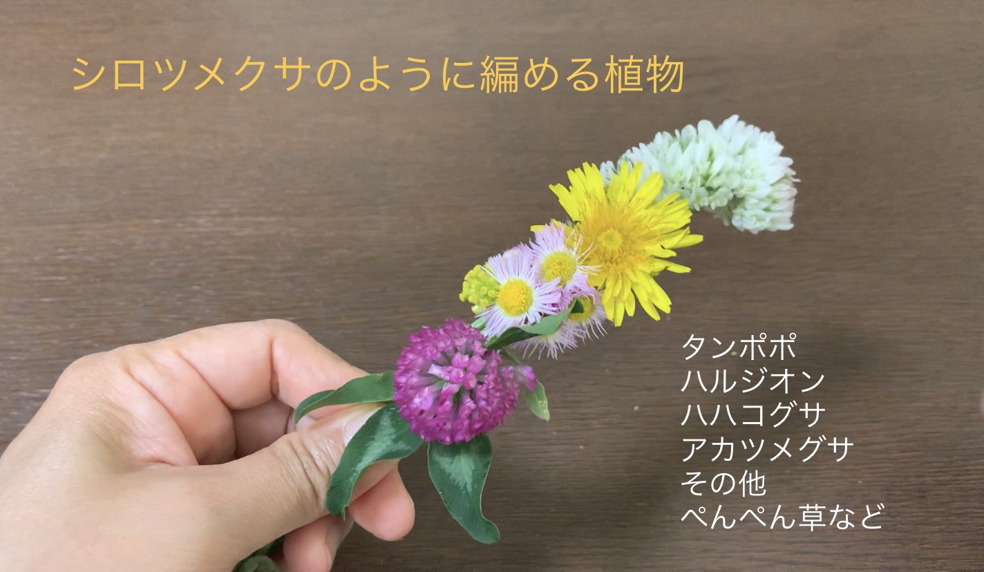 Inori Twitter પર 花冠の作り方の動画をつくりました 基本の編み方 シロツメクサのように編める植物 茎の硬い植物の編み込み方 輪に留める方法 長く楽しむ方法です T Co Dv7iixnypl