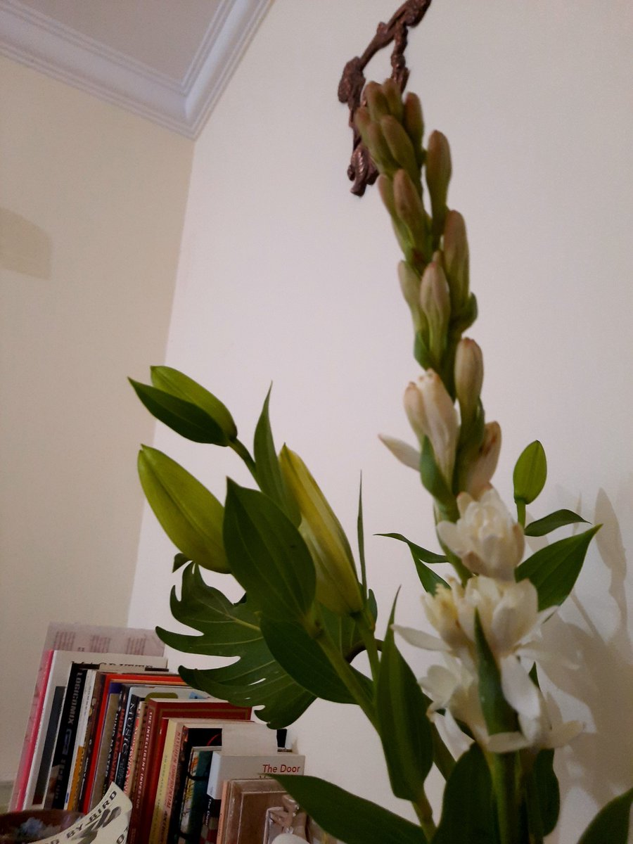 MonamiDG's tweet photo. Sharing some photos of today's collection of flowers because they made me happy. Hope they make you smile too. :) 💐
#ShadesOfSpring https://t.co/SlxvuxNqfn