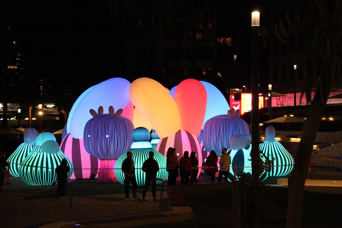 Glow Pop-up Series has arrived at Prahran Square! ✨

In the Australian premiere of this light art installation from Studio ENESS, watch these cute little creatures bring the square to life every evening until Sunday 16 May 🌟

#StonningtonGlowUp