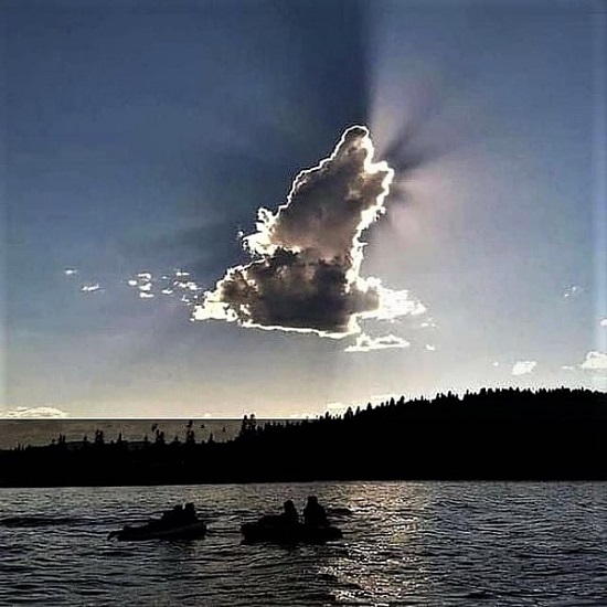 StefSMagi's tweet image. All dogs go to Heaven ... !! 🐶❣️

📷Unknown