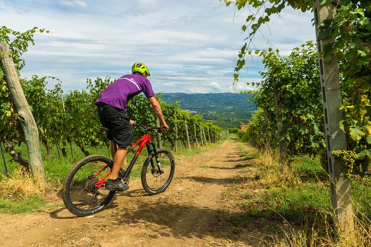 SonoitaliaInfo's tweet image. #Piemont: #Radwandern auf der Tour „#BartoBar: Entdeckungstour zu #Fuß oder mit dem #MTB in der piemontesischen Region #Langhe #Roero. 👉tinyurl.com/fryn24b3 @torinopiemonte @regionepiemonte @AlbaBraLR @visitLMR @langheroero @CiaoNico