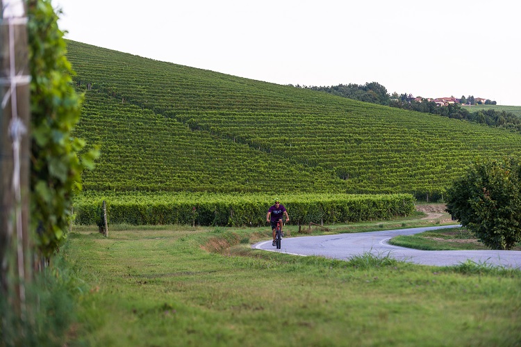 SonoitaliaInfo's tweet image. #Piemont: #Radwandern auf der Tour „#BartoBar: Entdeckungstour zu #Fuß oder mit dem #MTB in der piemontesischen Region #Langhe #Roero. 👉tinyurl.com/fryn24b3 @torinopiemonte @regionepiemonte @AlbaBraLR @visitLMR @langheroero @CiaoNico