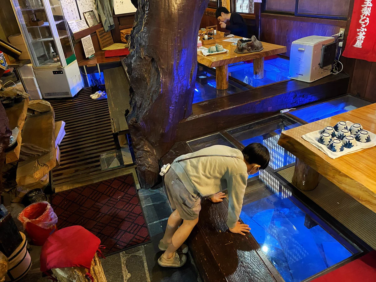 福島県・玉梨とうふ茶屋に注目！床下にいるチョウザメを眺めながらドーナツを味わうことが出来ると話題！！