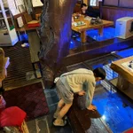 福島県・玉梨とうふ茶屋に注目!床下にいるチョウザメを眺めながらドーナツを味わうことが出来ると話題!