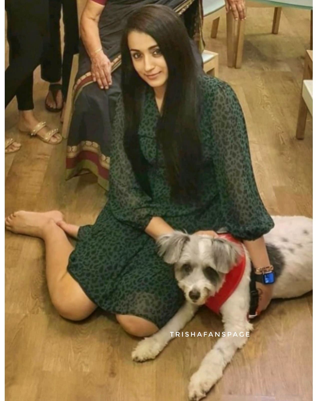 E02N5fWVoAAdIdt?format=jpg&name=large