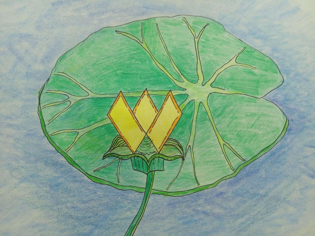 crustycloud's tweet photo. #WilderWorld #ArtistQuest https://t.co/0RJSmOwFeG