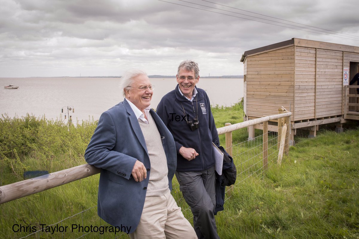 Happy Birthday to Sir David Attenborough - and a big thank you for everything you do to campaign for wildlife and the natural world!! 🥳🎂🌳🌼🐝🪲🐋🐍🦀🐬🪱🐸🦔🦭