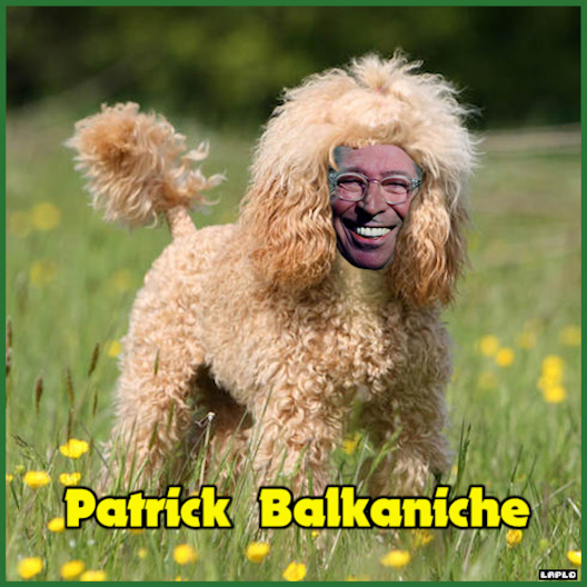 Le mercredi, c'est la battle ! On veut vos meilleurs parcours pour aller de PATRICK BALKANY à CANICHE !
#Wikiwars