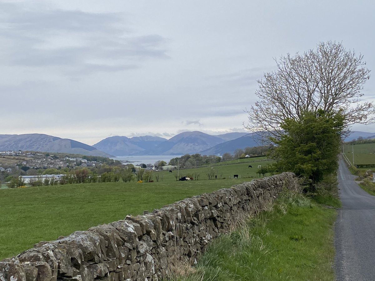 Robin McKelvie tweet media